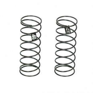 HB RACING D2 EVO Rear Spring 40