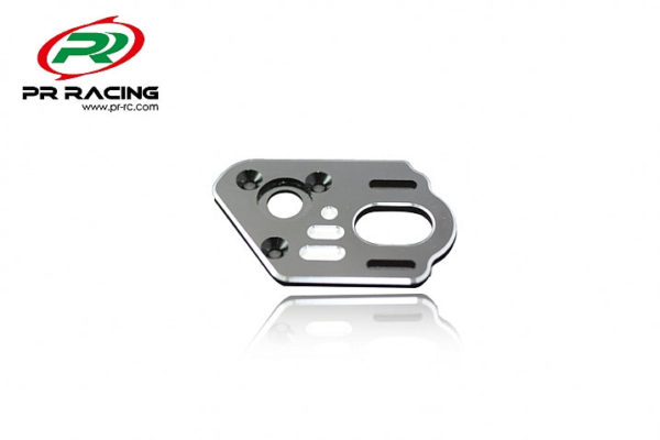 PR S1 V3 (FM) Motor Plate (1)