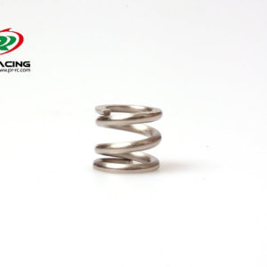 S1 V3 EVO Differential spring (1)