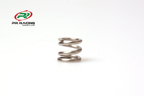 S1 V3 EVO Differential spring (1)