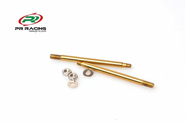 Front Titanium Nitride Shock Shaft -42mm For Type R (2)