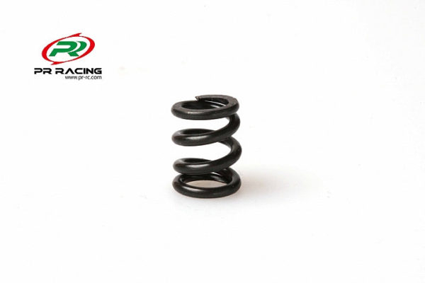 SB401 Slipper Spring 1.4x1.0mm (1)