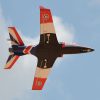 Black Horse Viper Jet 120 EDF ARTF - Image 4